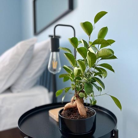 Apartamenty Rynek 7 Cieszyn  Bagian luar foto